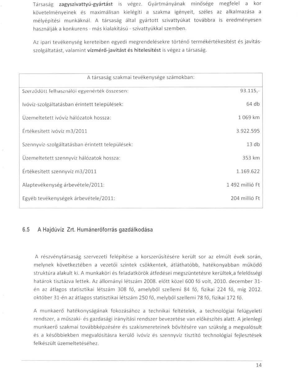 Az ipari tevékenység kereteiben egyedi megrendelésekre történő termékértékesítést és javításszolgáltatást, valamint vízmérő-javítást és hitelesítést is végez a társaság.