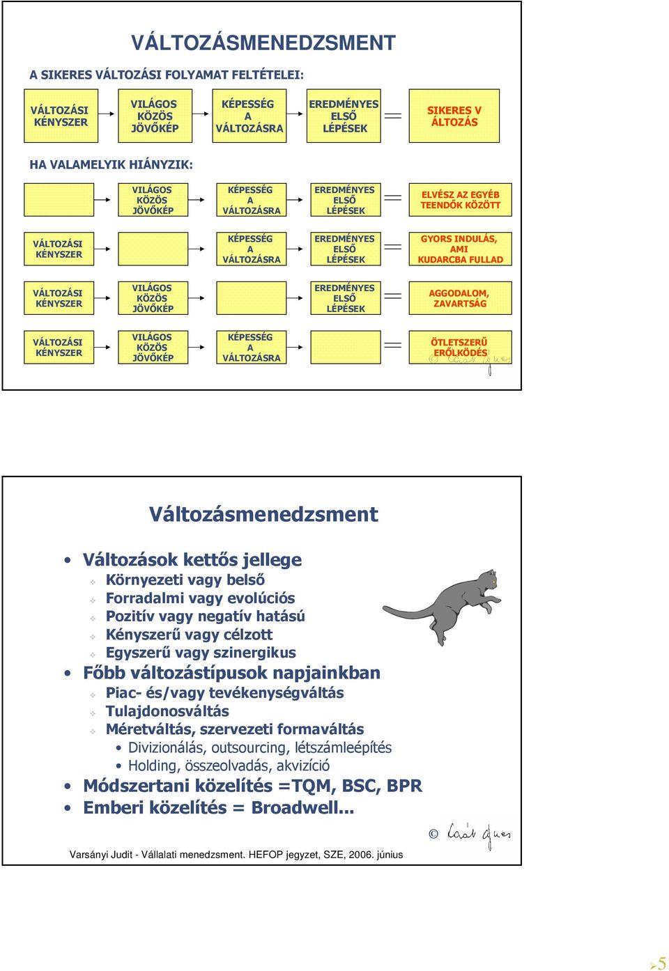 VÁLTOZÁSI KÉNYSZER VILÁGOS KÖZÖS JÖVŐKÉP EREDMÉNYES ELSŐ LÉPÉSEK AGGODALOM, ZAVARTSÁG VÁLTOZÁSI KÉNYSZER VILÁGOS KÖZÖS JÖVŐKÉP KÉPESSÉG A VÁLTOZÁSRA ÖTLETSZERŰ ERŐLKÖDÉS Változásmenedzsment