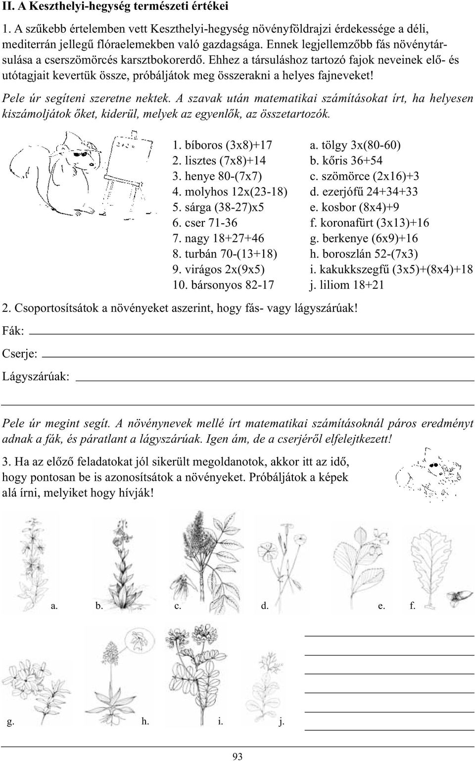 Pele úr segíteni szeretne nektek. A szavak után matematikai számításokat írt, ha helyesen kiszámoljátok õket, kiderül, melyek az egyenlõk, az összetartozók. 1. bíboros (3x8)+17 2. lisztes (7x8)+14 3.