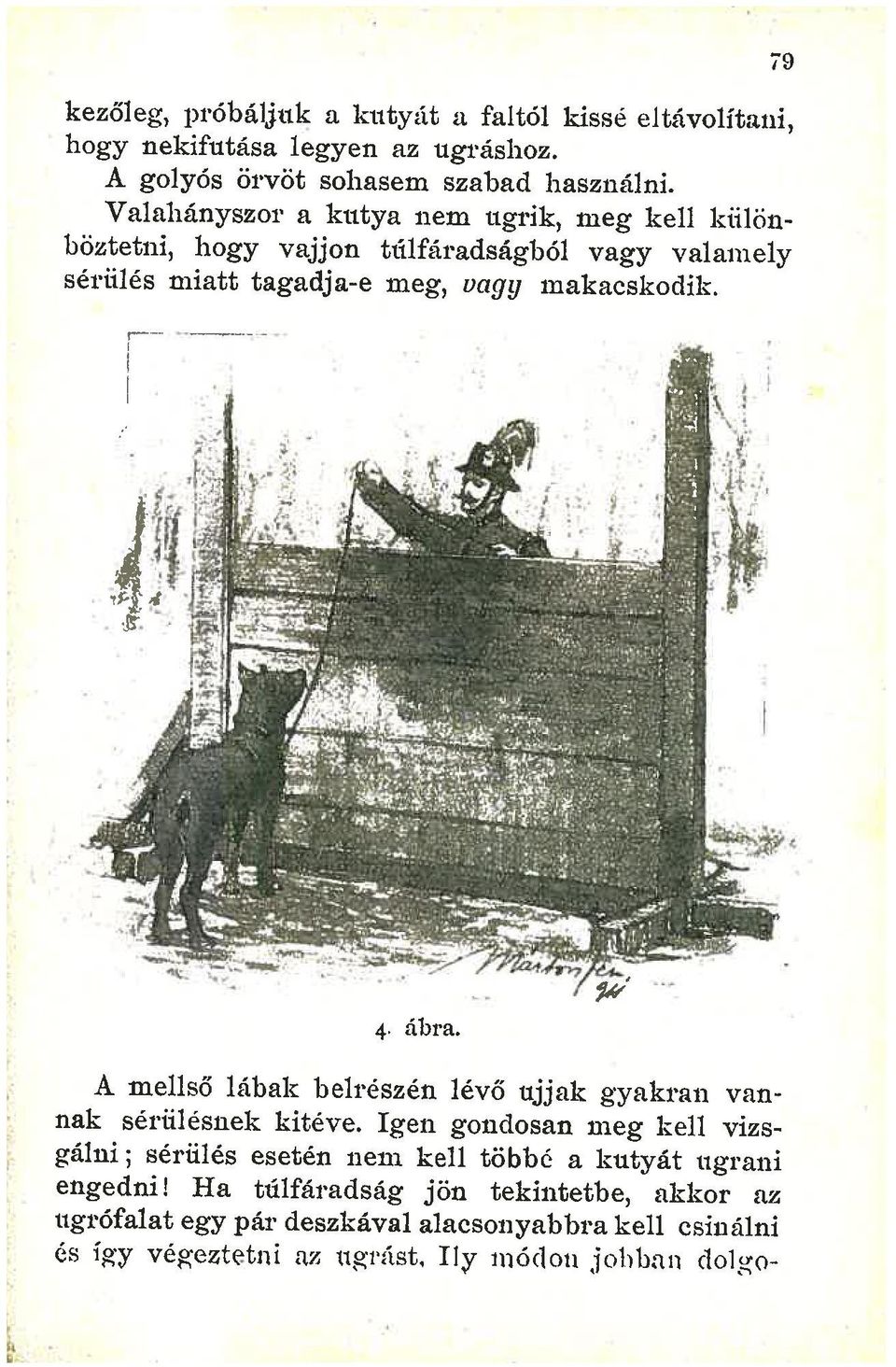 .-- ----- I 4, ábra. A mellső lábak belrészén lévő ujjak gyakran vannak sériilésnek kitéve.