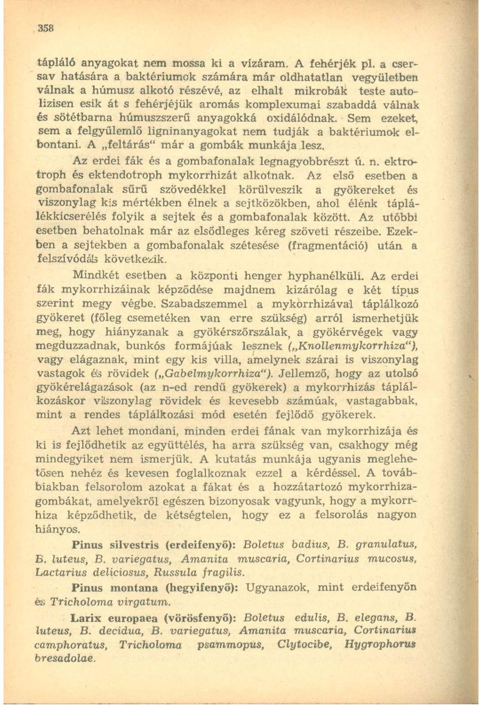 sötétbarna húmuszszerű anyagokká oxidálódnak. Sem ezeket, sem a felgyülemlő ligninanyagokat nem tudják a baktériumok elbontani. A feltárás" már a gombák munkája lesz.