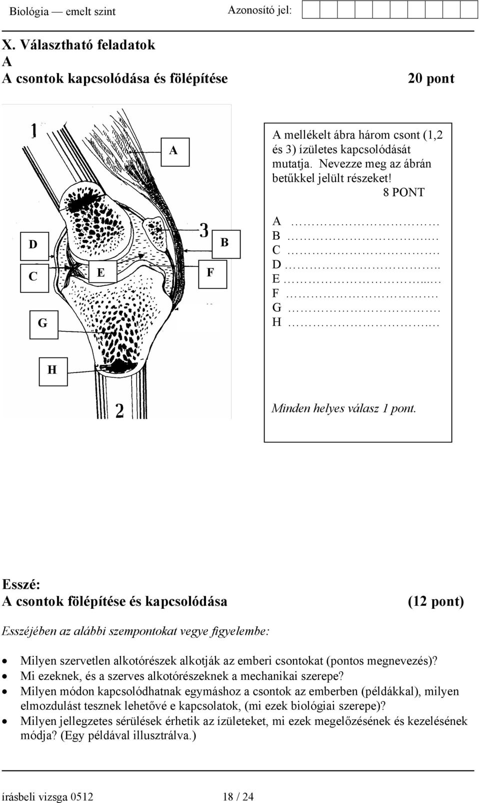 Esszé: A csontok fölépítése és kapcsolódása (12 pont) Esszéjében az alábbi szempontokat vegye figyelembe: Milyen szervetlen alkotórészek alkotják az emberi csontokat (pontos megnevezés)?