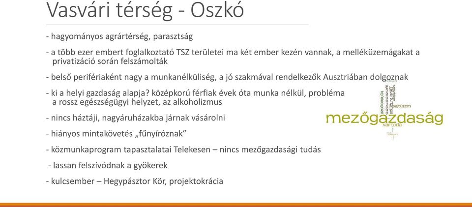 középkorú férfiak évek óta munka nélkül, probléma a rossz egészségügyi helyzet, az alkoholizmus - nincs háztáji, nagyáruházakba járnak vásárolni - hiányos