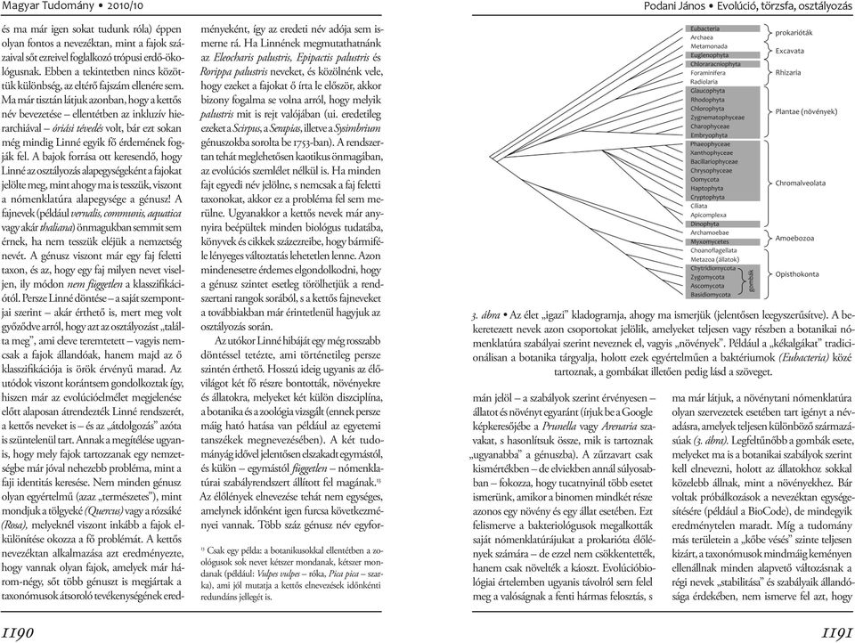 Ma már tisztán látjuk azonban, hogy a kettős név bevezetése ellentétben az inkluzív hierarchiával óriási tévedés volt, bár ezt sokan még mindig Linné egyik fő érdemének fogják fel.