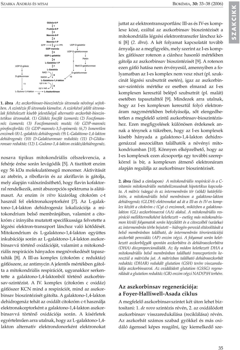 (1) Glükóz foszfát izomeráz (2) Foszfomannóz izomeráz (3) Foszfomannóz mutáz (4) GDP-mannóz pirofoszforiláz (5) GDP-mannóz-3,5-epimeráz (6,7) Ismeretlen enzimek (8) L-galaktóz dehidrogenáz (9)