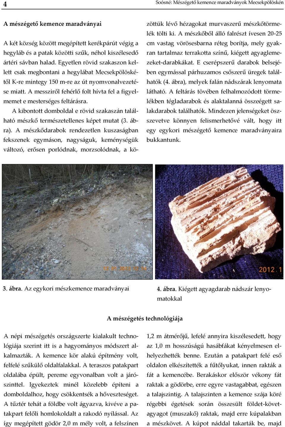 A messziről fehérlő folt hívta fel a figyelmemet e mesterséges feltárásra. A kibontott domboldal e rövid szakaszán található mészkő természetellenes képet mutat (3. ábra).