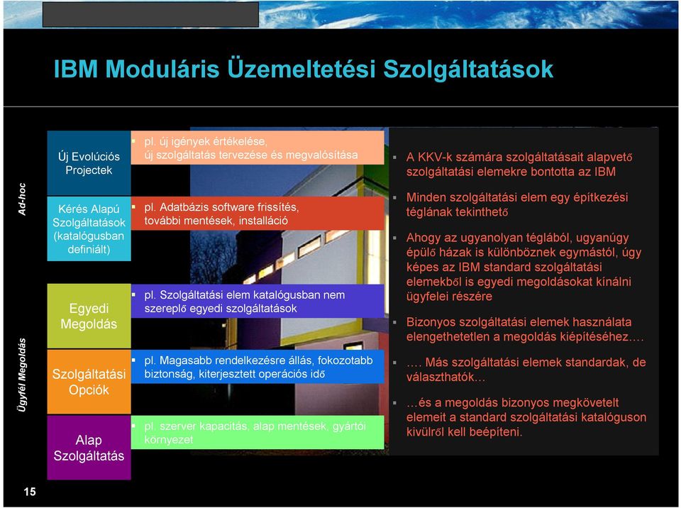 (katalógusban definiált) Egyedi Megoldás Szolgáltatási Opciók Alap Szolgáltatás pl. Adatbázis software frissítés, további mentések, installáció pl.