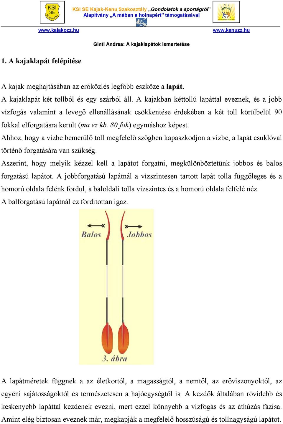 Ahhoz, hogy a vízbe bemerülő toll megfelelő szögben kapaszkodjon a vízbe, a lapát csuklóval történő forgatására van szükség.