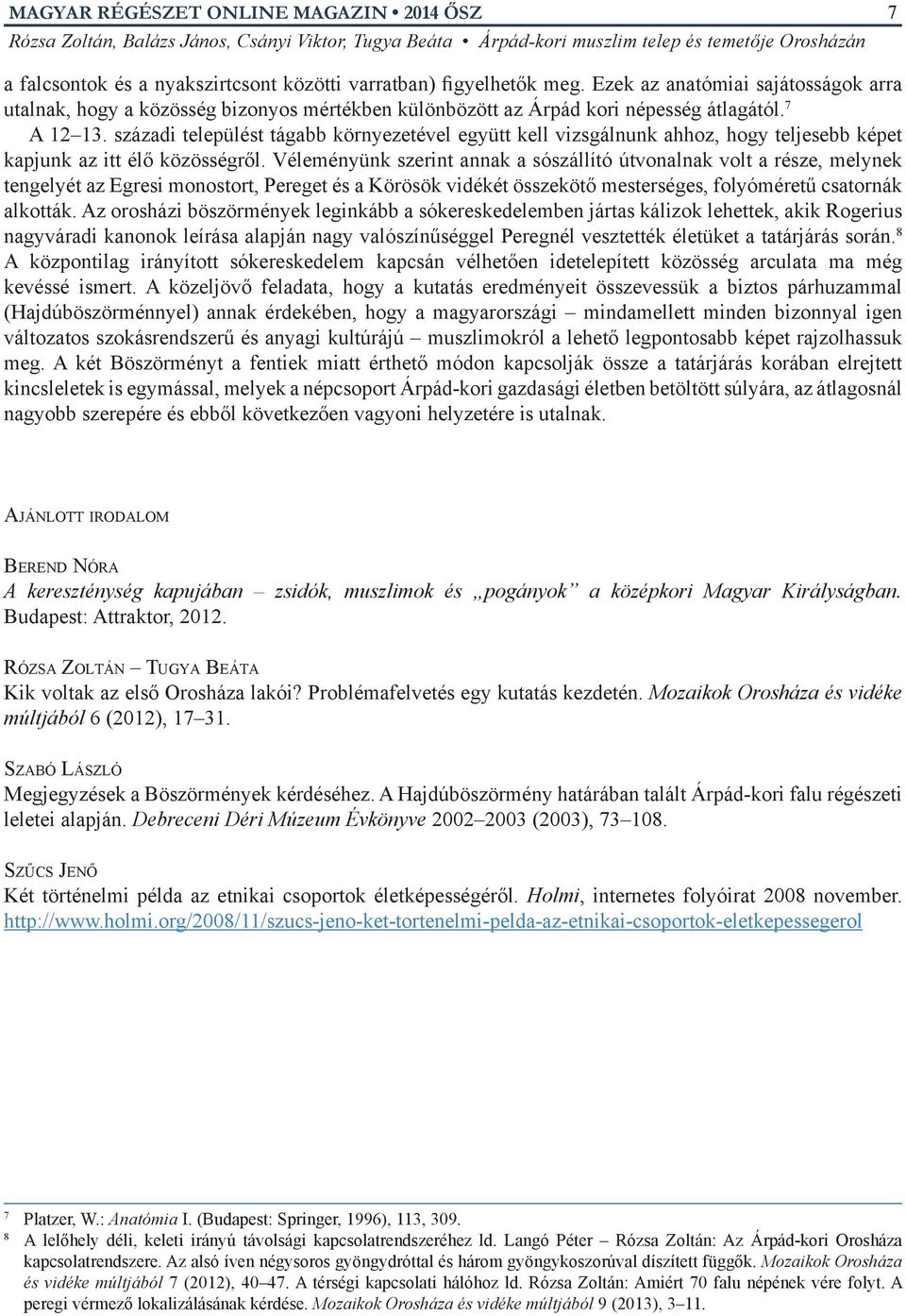 Véleményünk szerint annak a sószállító útvonalnak volt a része, melynek tengelyét az Egresi monostort, Pereget és a Körösök vidékét összekötő mesterséges, folyóméretű csatornák alkották.