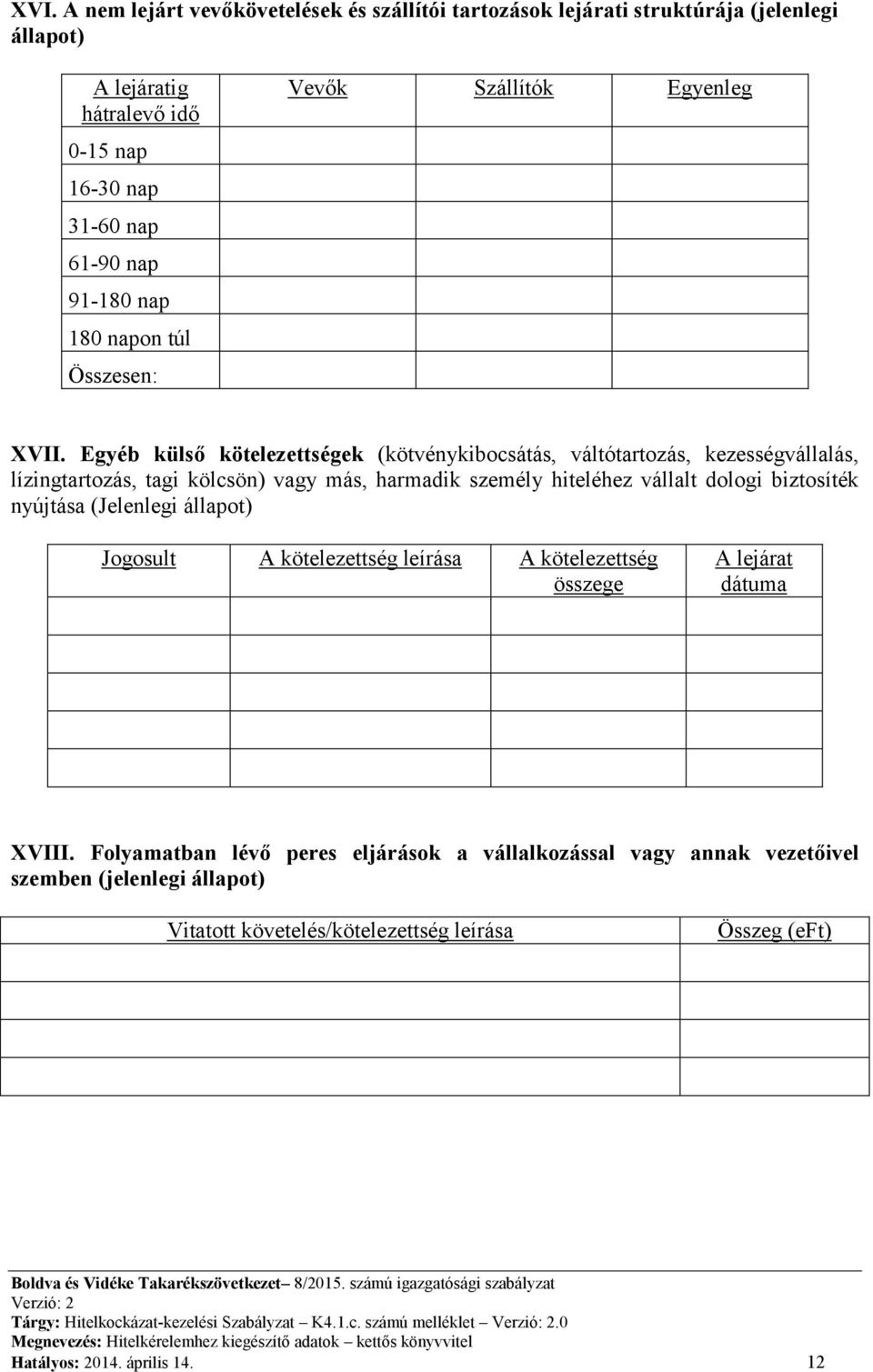 Egyéb külső kötelezettségek (kötvénykibocsátás, váltótartozás, kezességvállalás, lízingtartozás, tagi kölcsön) vagy más, harmadik személy hiteléhez vállalt dologi biztosíték nyújtása