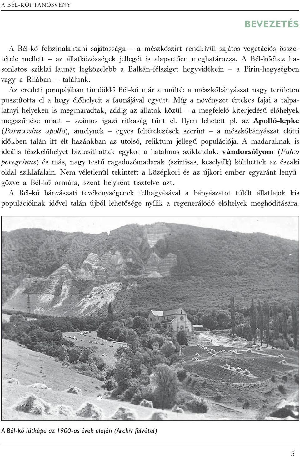 Az eredeti pompájában tündöklő Bél-kő már a múlté: a mészkőbányászat nagy területen pusztította el a hegy élőhelyeit a faunájával együtt.