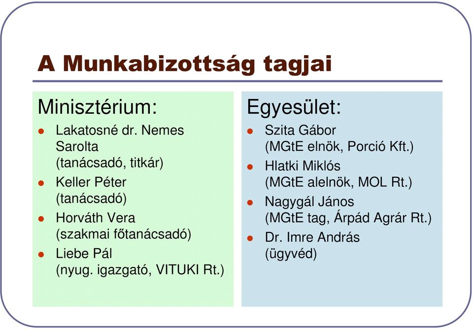 tanácsadó) Liebe Pál (nyug. igazgató, VITUKI Rt.