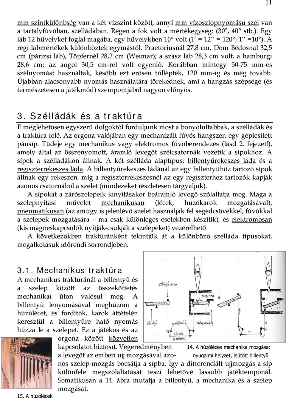 Praetoriusnál 27,8 cm, Dom Bédosnál 32,5 cm (párizsi láb), Töpfernél 28,2 cm (Weimar); a szász láb 28,3 cm volt, a hamburgi 28,6 cm; az angol 30,5 cm-rel volt egyenlő.