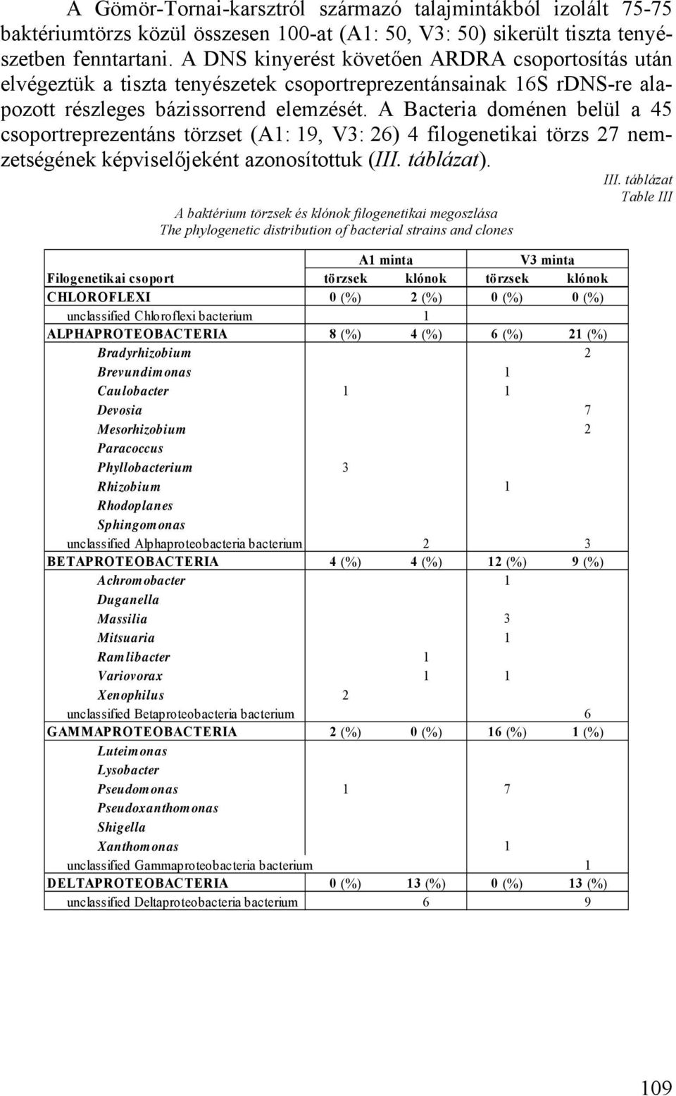 A Bacteria doménen belül a 45 csoportreprezentáns törzset (A1: 19, V3: 26) 4 filogenetikai törzs 27 nemzetségének képviselőjeként azonosítottuk (III. táblázat). III.