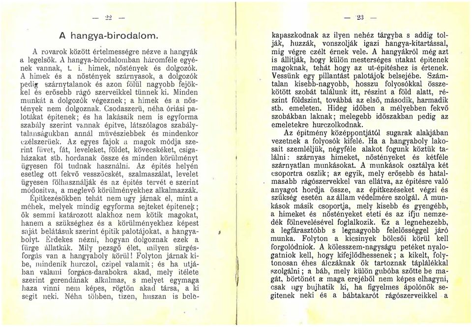 néha óriási palotákat épitenek ; és ha lakásaik nem is egyforma szabály szerint vétnnak épitve, látszólagos szabálytalansitgukhan annál müvésziebbek és mindenkor t:zélszerüek Az egyes fajok a magok