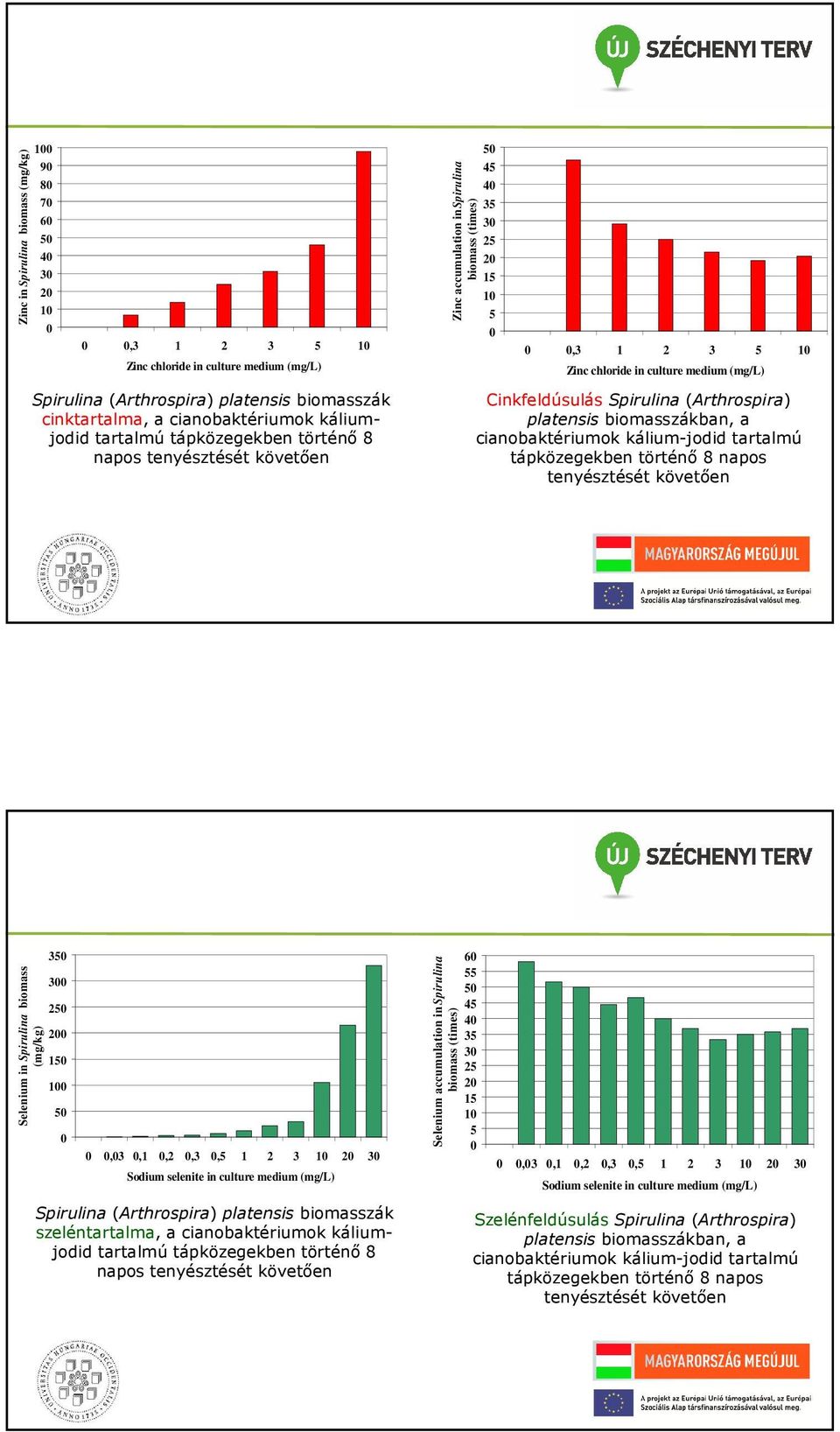 Cinkfeldúsulás Spirulina (Arthrospira) platensis biomasszákban, a cianobaktériumok kálium-jodid tartalmú tápközegekben történő 8 napos tenyésztését követően Selenium in Spirulina biomass (mg/kg) 30