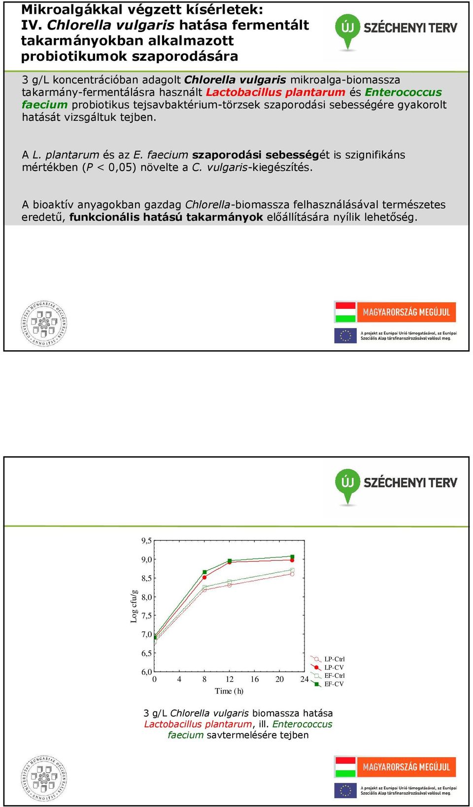 Lactobacillus plantarum és Enterococcus faecium probiotikus tejsavbaktérium-törzsek szaporodási sebességére gyakorolt hatását vizsgáltuk tejben. A L. plantarum és az E.