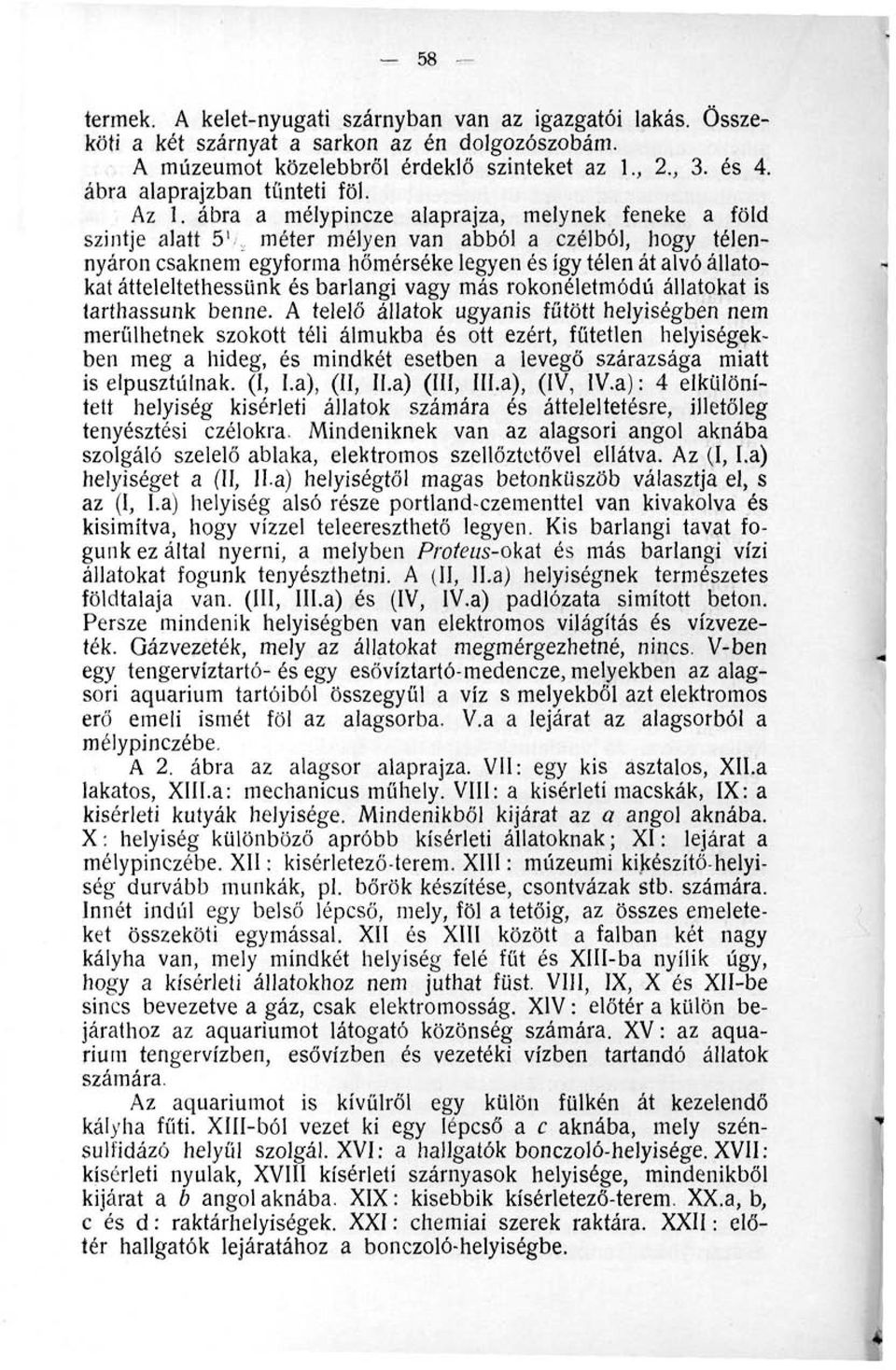 ábra a mélypincze alaprajza, melynek feneke a föld szintje alatt 5 1 méter mélyen van abból a czélból, hogy télennyáron csaknem egyforma hőmérséke legyen és így télen át alvó állatokat