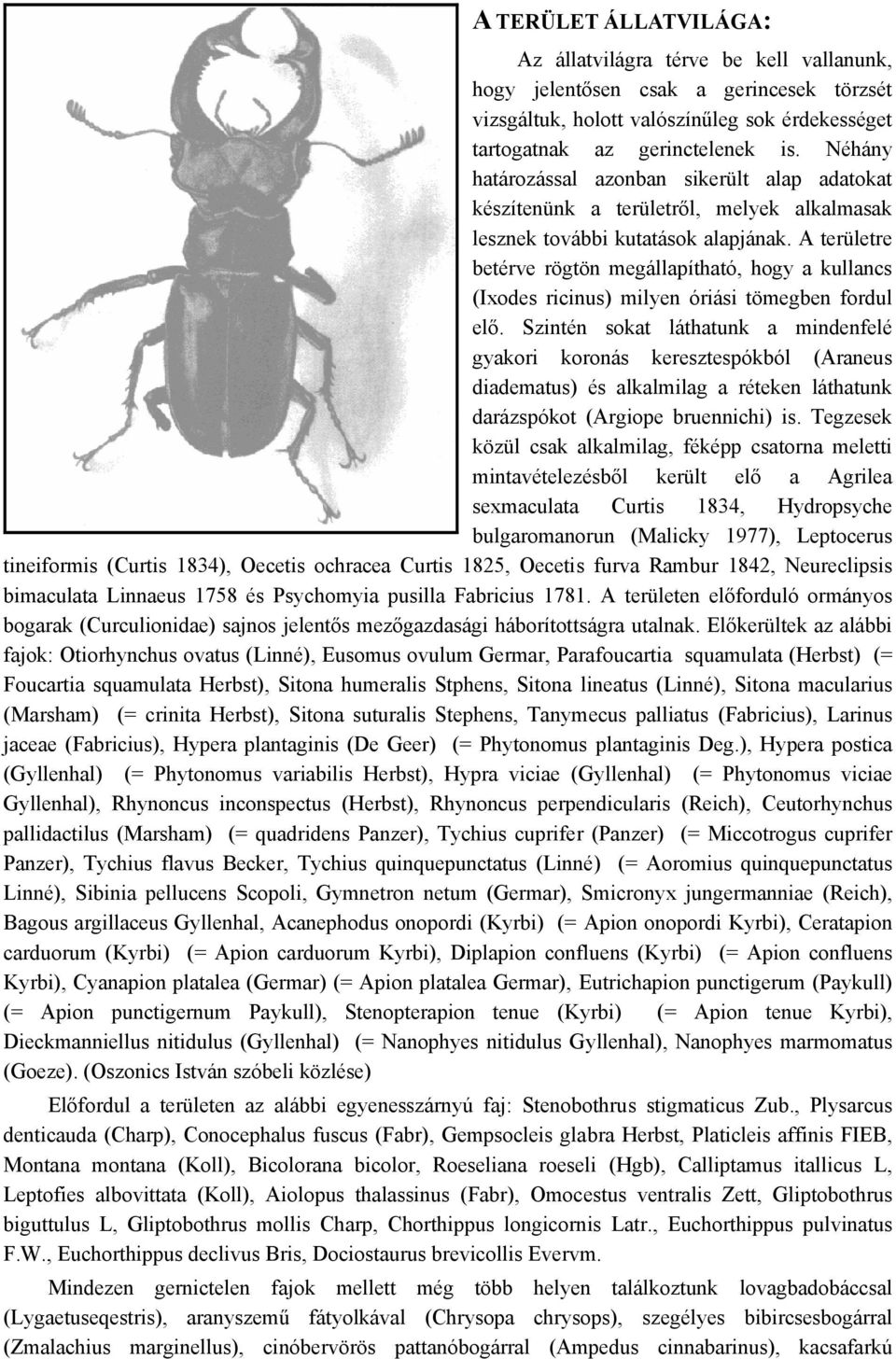 A területre betérve rögtön megállapítható, hogy a kullancs (Ixodes ricinus) milyen óriási tömegben fordul elő.