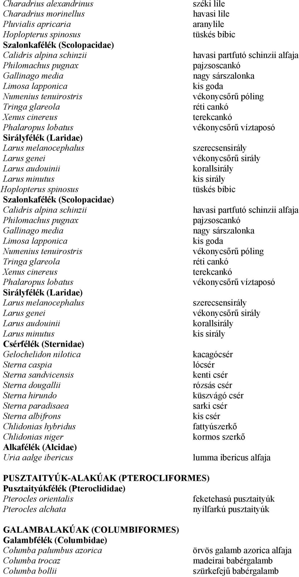 (Scolopacidae) Calidris alpina schinzii Philomachus pugnax Gallinago media Limosa lapponica Numenius tenuirostris Tringa glareola Xenus cinereus Phalaropus lobatus Sirályfélék (Laridae) Larus