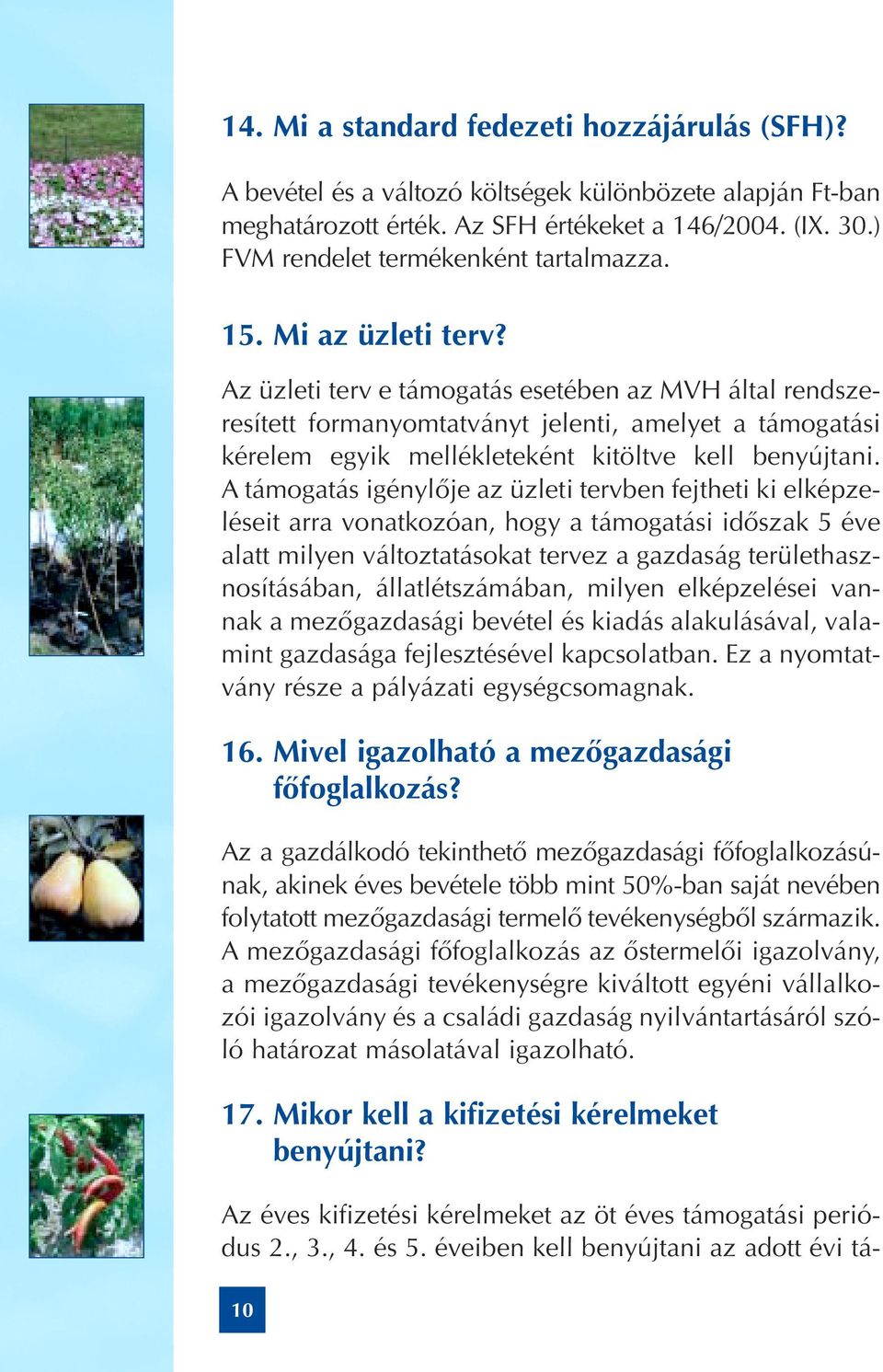 Az üzleti terv e támogatás esetében az MVH által rendszeresített formanyomtatványt jelenti, amelyet a támogatási kérelem egyik mellékleteként kitöltve kell benyújtani.