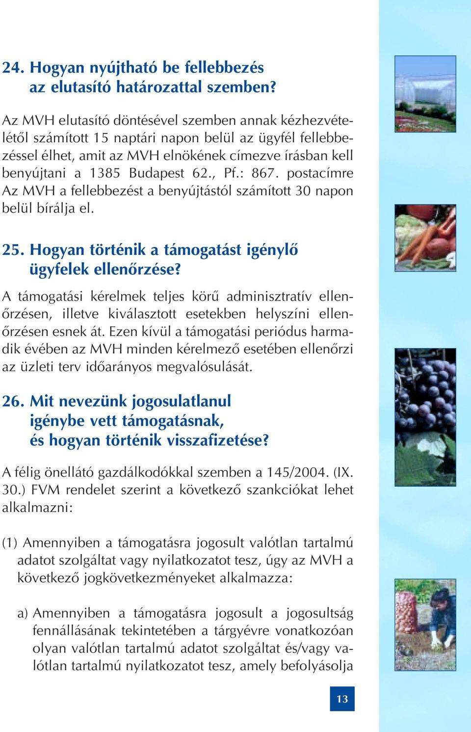 , Pf.: 867. postacímre Az MVH a fellebbezést a benyújtástól számított 30 napon belül bírálja el. 25. Hogyan történik a támogatást igénylô ügyfelek ellenôrzése?