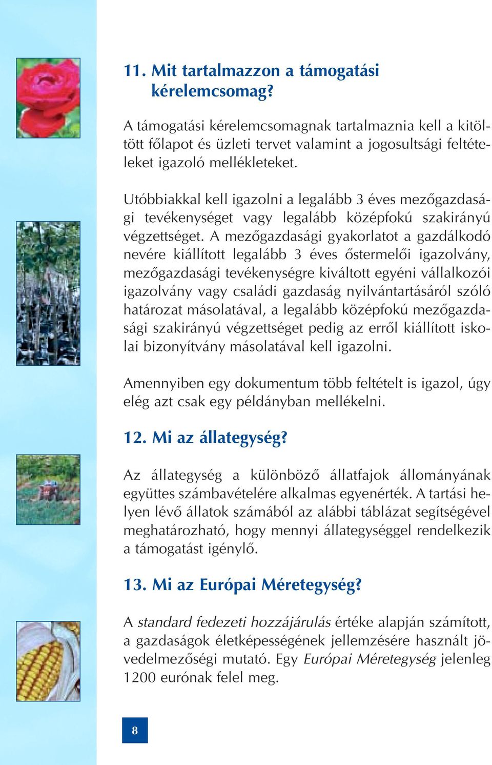 A mezôgazdasági gyakorlatot a gazdálkodó nevére kiállított legalább 3 éves ôstermelôi igazolvány, mezôgazdasági tevékenységre kiváltott egyéni vállalkozói igazolvány vagy családi gazdaság