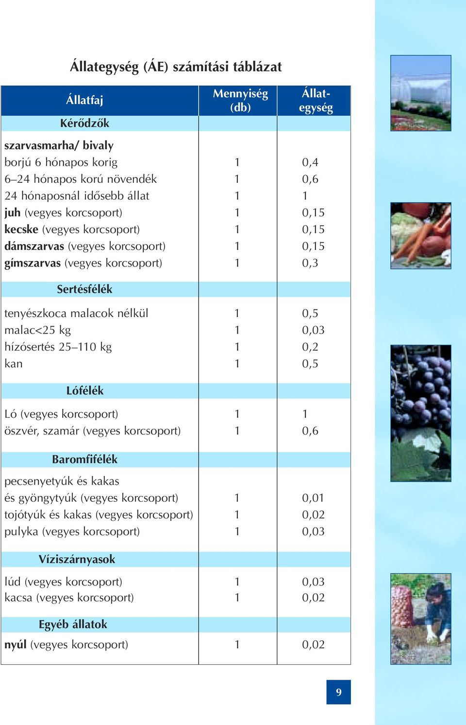 0,03 hízósertés 25 110 kg 1 0,2 kan 1 0,5 Lófélék Ló (vegyes korcsoport) 1 1 öszvér, szamár (vegyes korcsoport) 1 0,6 Baromfifélék pecsenyetyúk és kakas és gyöngytyúk (vegyes korcsoport) 1 0,01