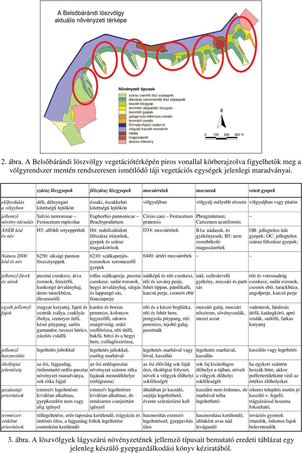 természetvédelmi prioritások száraz löszgyepek félszáraz löszgyepek mocsárrétek mocsarak vetett gyepek déli, délnyugati kitettség lejt kön Salvio nemorosae Festucetum rupicolae északi, északkeleti