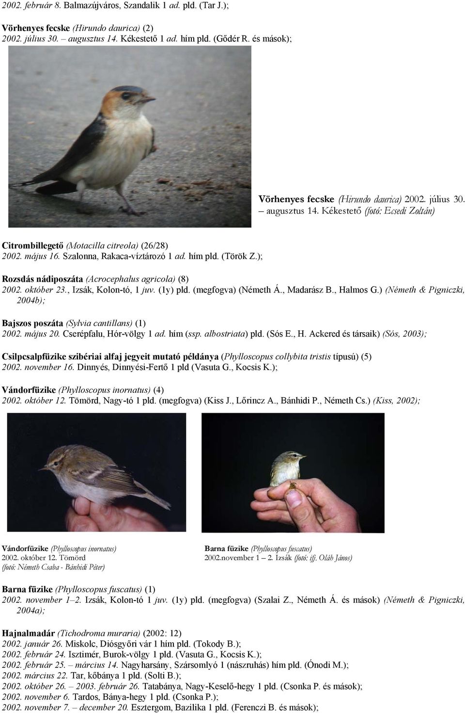 Szalonna, Rakaca-víztározó 1 ad. hím pld. (Török Z.); Rozsdás nádiposzáta (Acrocephalus agricola) (8) 2002. október 23., Izsák, Kolon-tó, 1 juv. (1y) pld. (megfogva) (Németh Á., Madarász B., Halmos G.