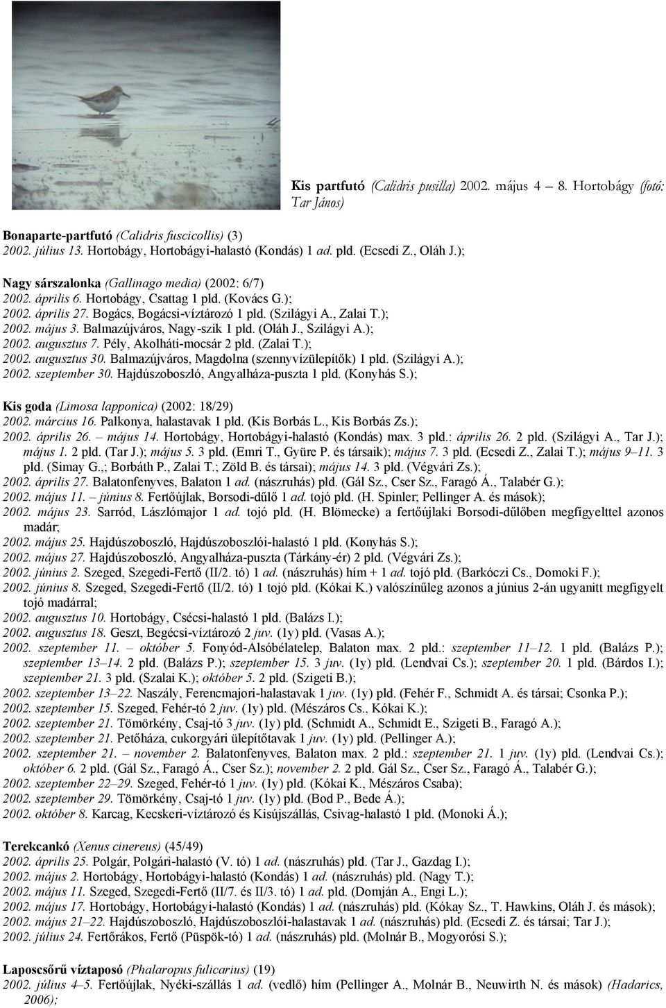 Pély, Akolháti-mocsár 2 pld. (Zalai T.); 2002. augusztus 30. Balmazújváros, Magdolna (szennyvízülepítők) 1 pld. (Szilágyi A.); 2002. szeptember 30. Hajdúszoboszló, Angyalháza-puszta 1 pld. (Konyhás S.