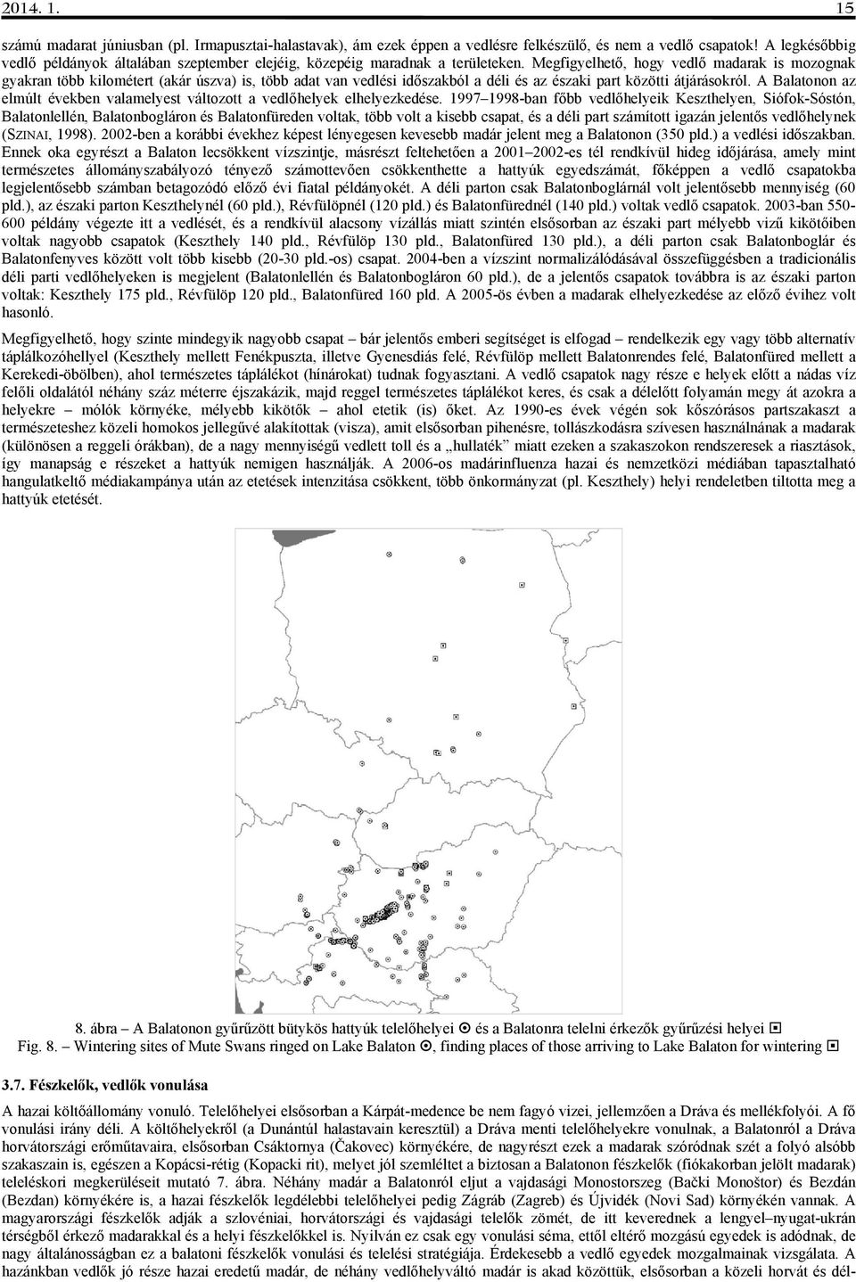 Megfigyelhető, hogy vedlő madarak is mozognak gyakran több kilométert (akár úszva) is, több adat van vedlési időszakból a déli és az északi part közötti átjárásokról.