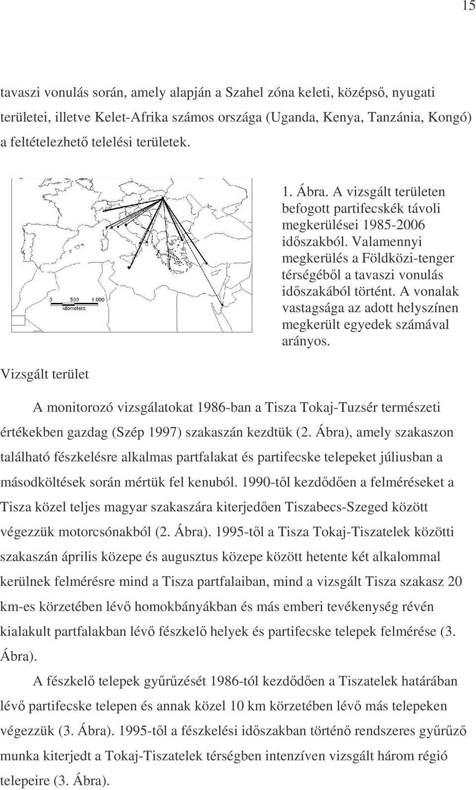 A vonalak vastagsága az adott helyszínen megkerült egyedek számával arányos. A monitorozó vizsgálatokat 1986-ban a Tisza Tokaj-Tuzsér természeti értékekben gazdag (Szép 1997) szakaszán kezdtük (2.