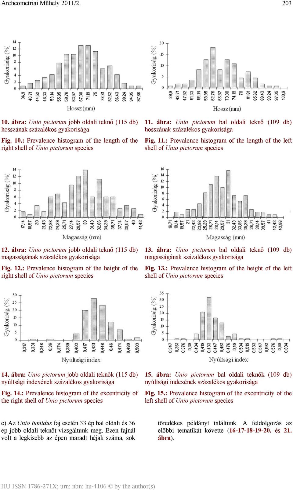 ábra: pictorum jobb oldali teknő (115 db) magasságának százalékos gyakorisága Fig. 12.: Prevalence histogram of the height of the right shell of pictorum species 13.