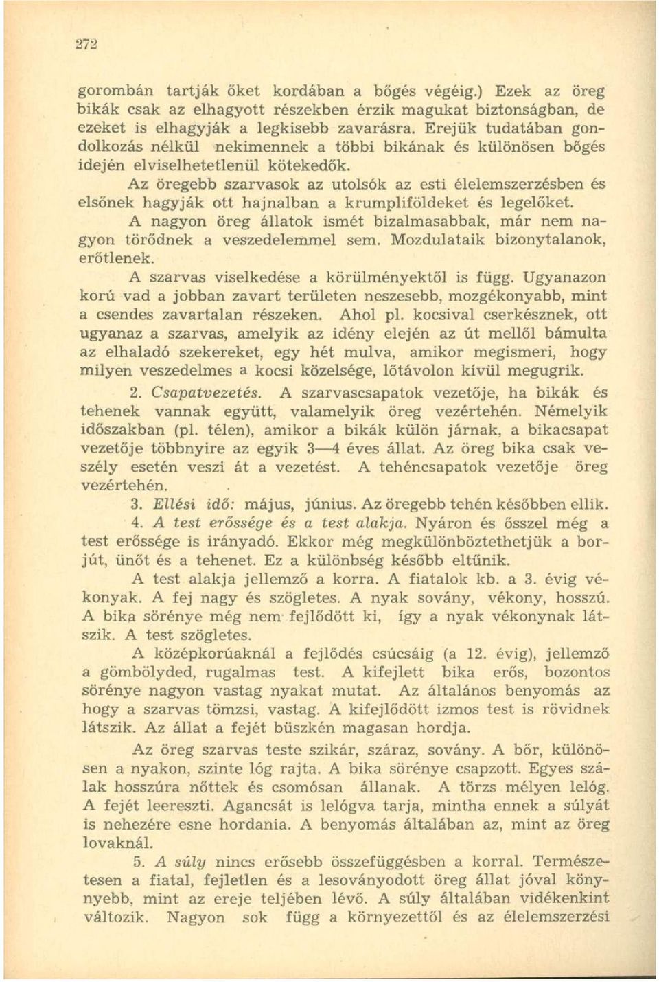 Az öregebb szarvasok az utolsók az esti élelemszerzésben és elsőnek hagyják ott hajnalban a krumpliföldeket és legelőket.