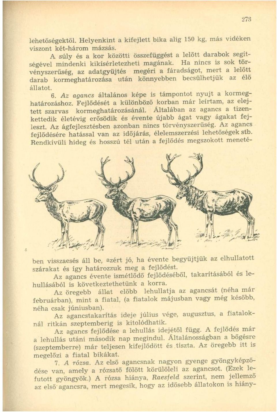 Az agancs általános képe is támpontot nyújt a kormeghatározáshoz. Fejlődését a különböző korban már leírtam, az elejtett szarvas kormeghatározásánál.