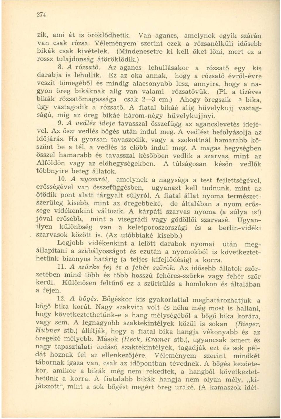 Ez az oka annak, hogy a rózsatő évről-évre veszít tömegéből és mindig alacsonyabb lesz, annyira, hogy a nagyon öreg bikáknak alig van valami rózsatövük. (Pl.