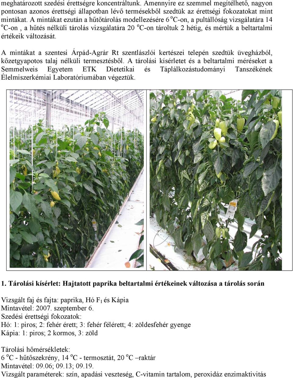 változását. A mintákat a szentesi Árpád-Agrár Rt szentlászlói kertészei telepén szedtük üvegházból, kőzetgyapotos talaj nélküli termesztésből.