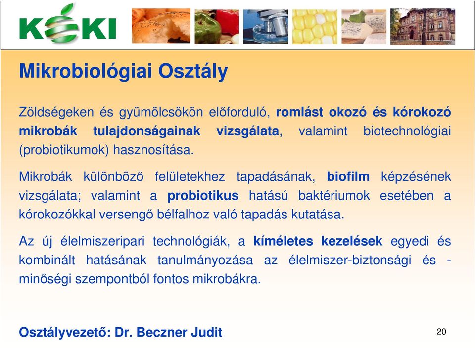 Mikrobák különböző felületekhez tapadásának, biofilm képzésének vizsgálata; valamint a probiotikus hatású baktériumok esetében a kórokozókkal