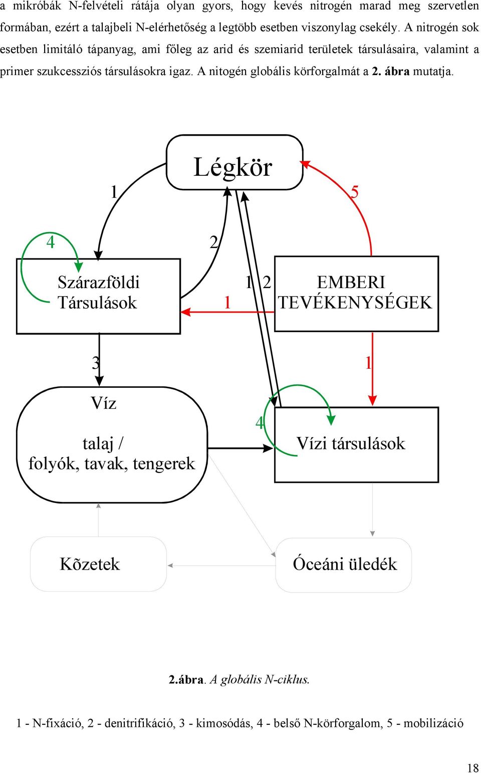 A nitogén globális körforgalmát a 2. ábra mutatja.