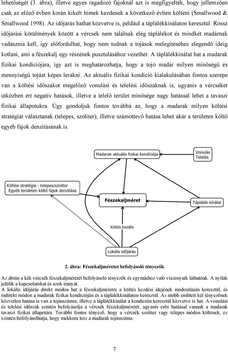 Rossz időjárási körülmények között a vércsék nem találnak elég táplálékot és mindkét madárnak vadásznia kell, így előfordulhat, hogy nem tudnak a tojások melegítéséhez elegendő ideig kotlani, ami a