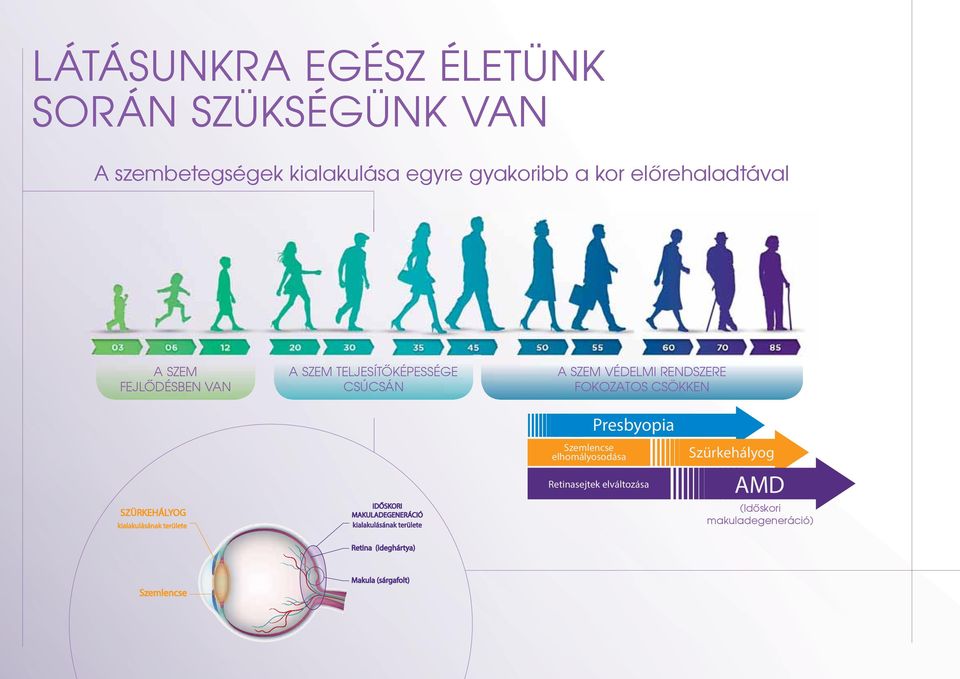 kialakulásának területe IDŐSKORI MAKULADEGENERÁCIÓ kialakulásának területe Szemlencse elhomályosodása Presbyopia