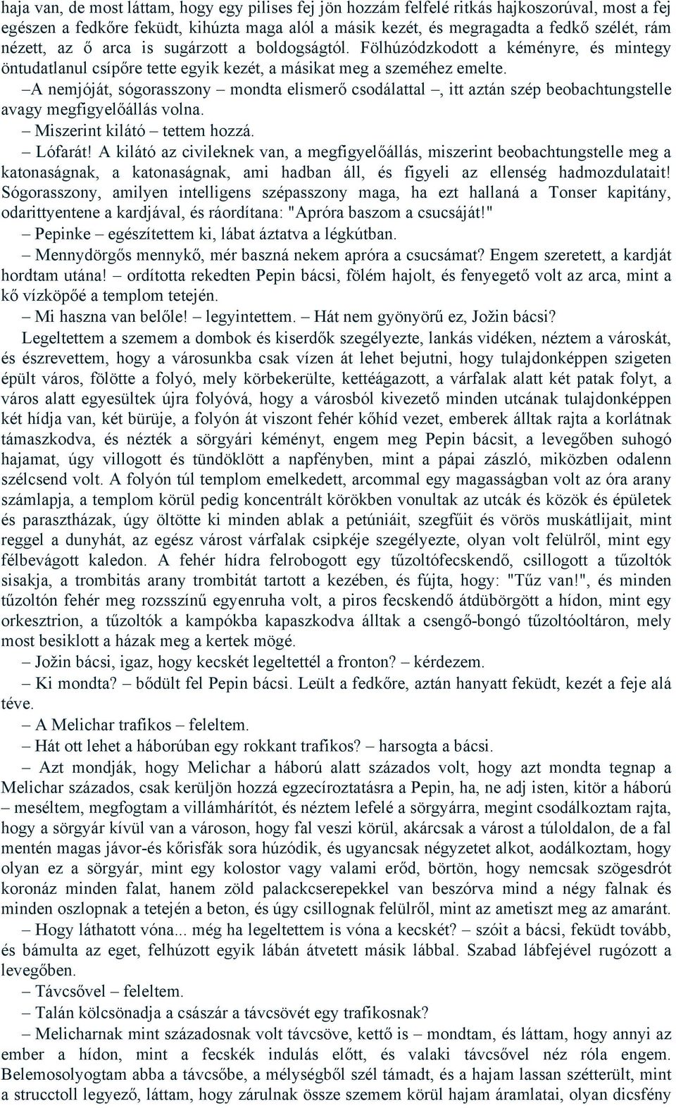 A nemjóját, sógorasszony mondta elismerő csodálattal, itt aztán szép beobachtungstelle avagy megfigyelőállás volna. Miszerint kilátó tettem hozzá. Lófarát!