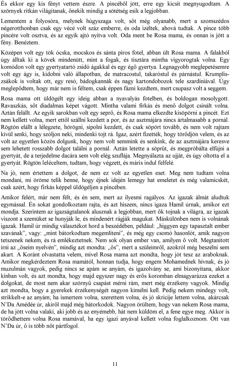 A pince több pincére volt osztva, és az egyik ajtó nyitva volt. Oda ment be Rosa mama, és onnan is jött a fény. Benéztem. Középen volt egy tök ócska, mocskos és sánta piros fotel, abban ült Rosa mama.