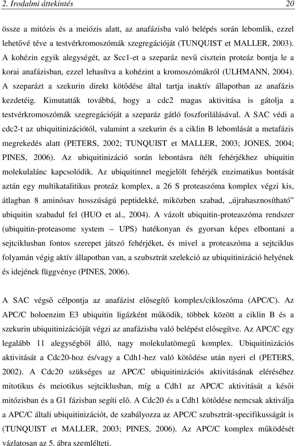 A szeparázt a szekurin direkt kötődése által tartja inaktív állapotban az anafázis kezdetéig.