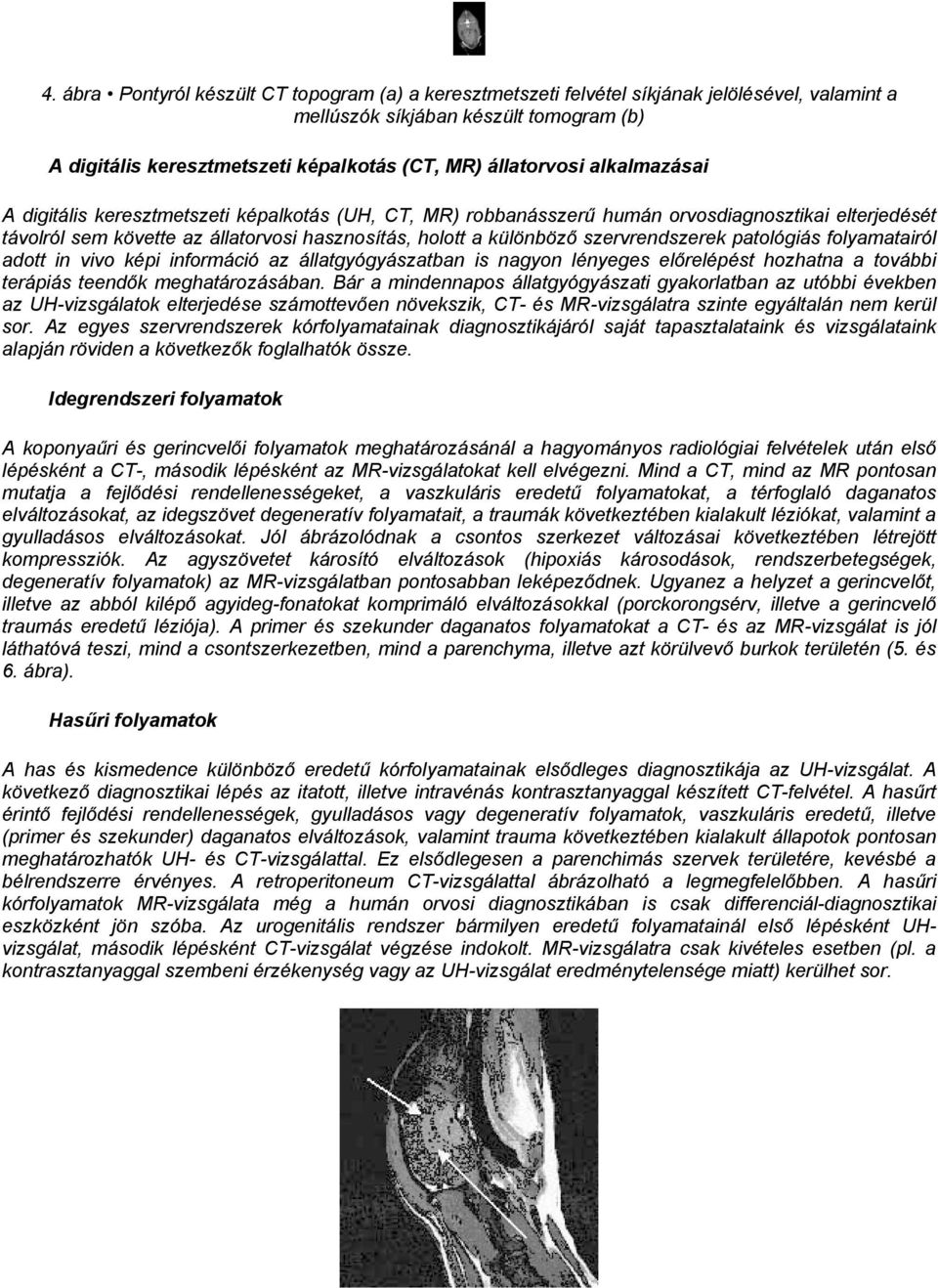 szervrendszerek patológiás folyamatairól adott in vivo képi információ az állatgyógyászatban is nagyon lényeges előrelépést hozhatna a további terápiás teendők meghatározásában.