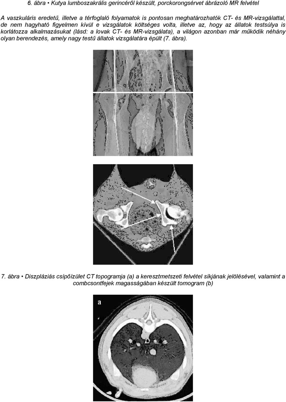 alkalmazásukat (lásd: a lovak CT- és MR-vizsgálata), a világon azonban már működik néhány olyan berendezés, amely nagy testű állatok vizsgálatára épült (7.