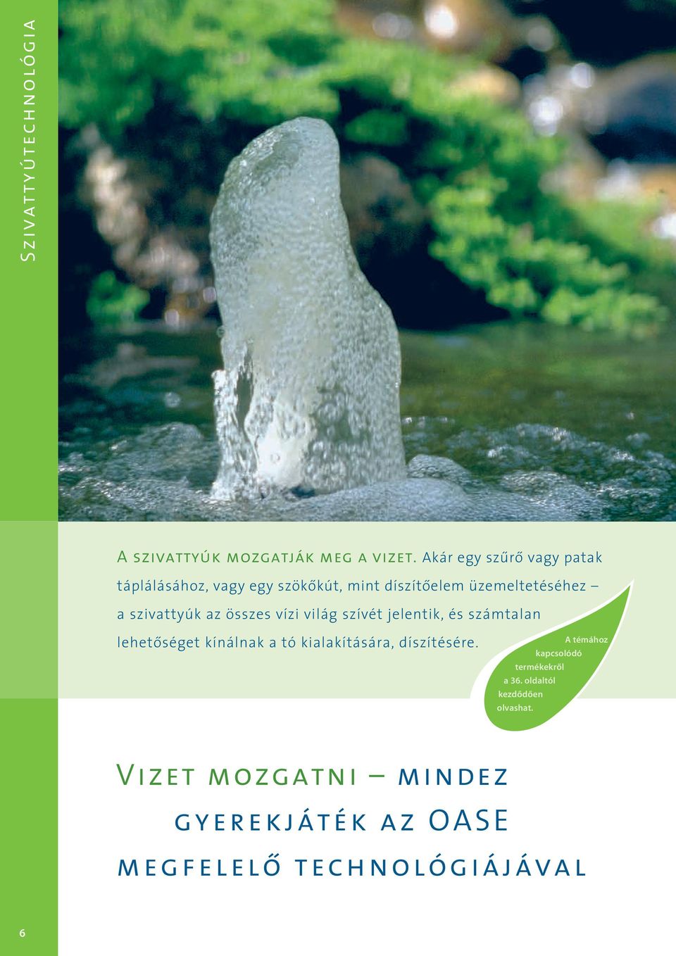 szivattyúk az összes vízi világ szívét jelentik, és számtalan lehetôséget kínálnak a tó