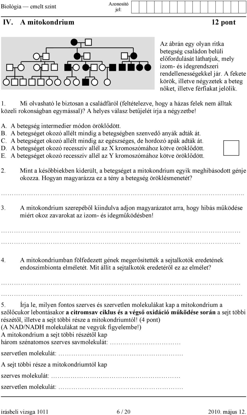 A helyes válasz betűjelét írja a négyzetbe! A. A betegség intermedier módon öröklődött. B. A betegséget okozó allélt mindig a betegségben szenvedő anyák adták át. C.