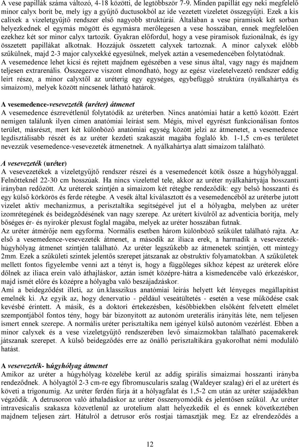 Általában a vese piramisok két sorban helyezkednek el egymás mögött és egymásra merőlegesen a vese hosszában, ennek megfelelően ezekhez két sor minor calyx tartozik.